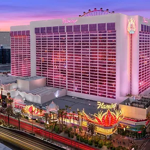 Flamingo Vegas & Casino Курортный комплекс